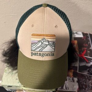 Patagonia Line Logo Ridge LoPro Trucker Hat Green